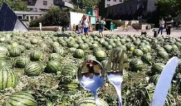 天津美院吃瓜爆料事件,揭秘校园风波背后的真相